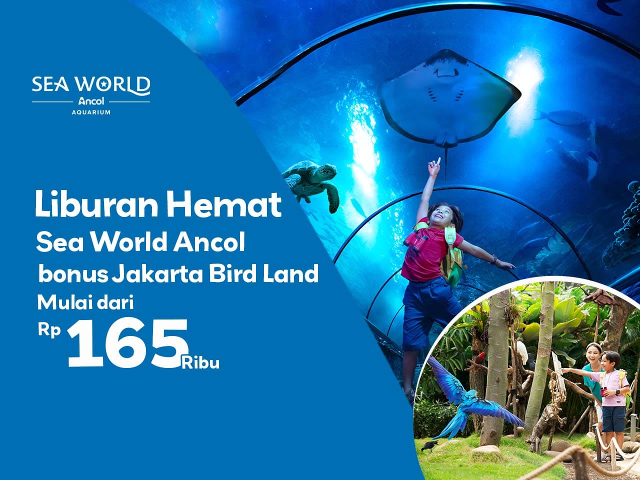 Main Ke Sea World Ancol Bonus Jakarta Bird Land! Cuma 165rb aja!